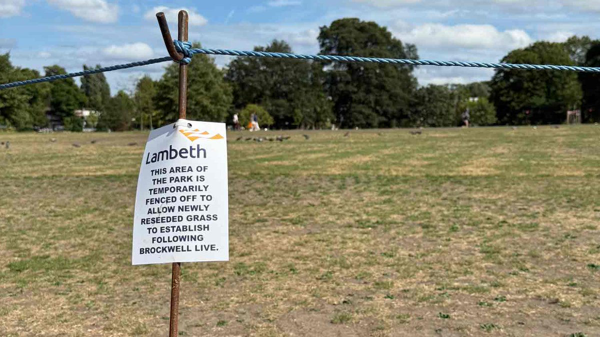 Brixton Blog tweet media