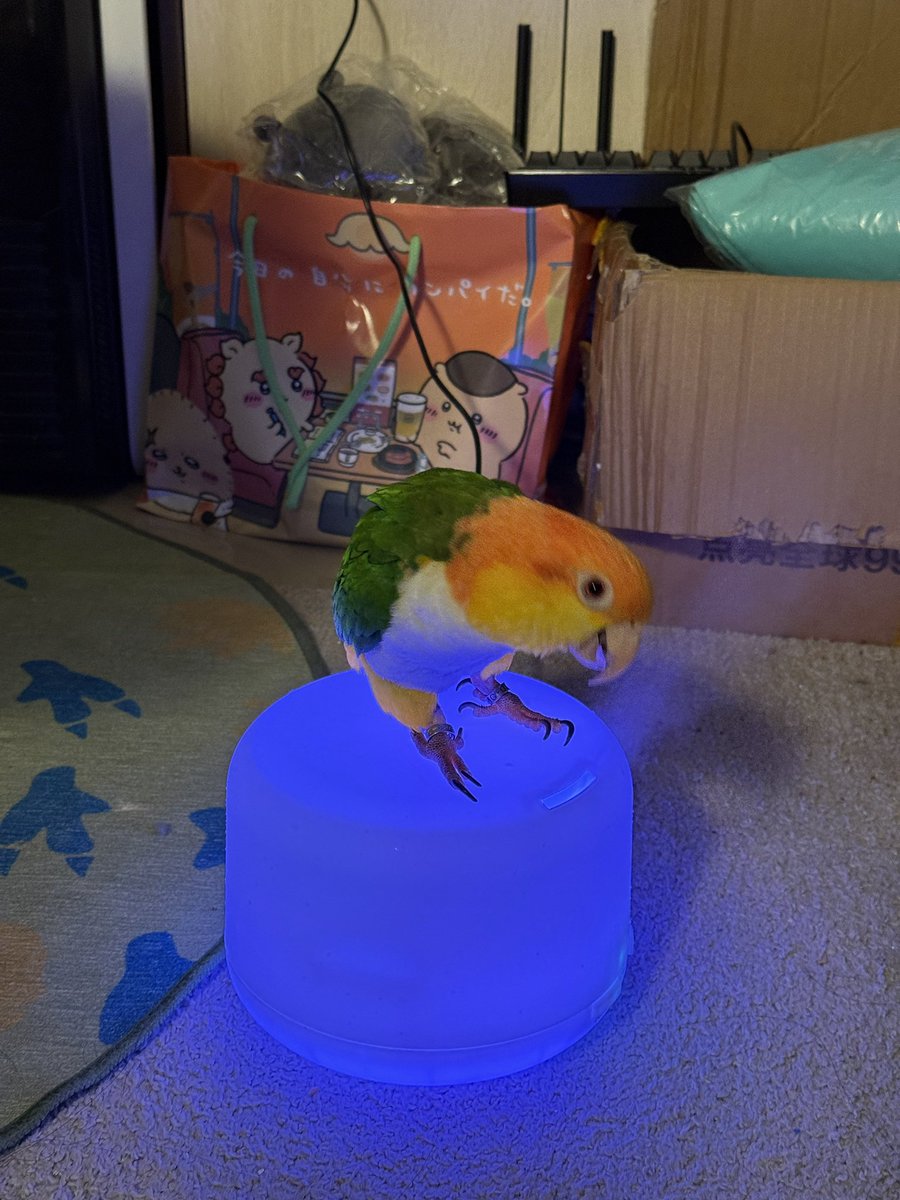 學長Abby( ” •̀ ∀ •́)୨ ✧ tweet media