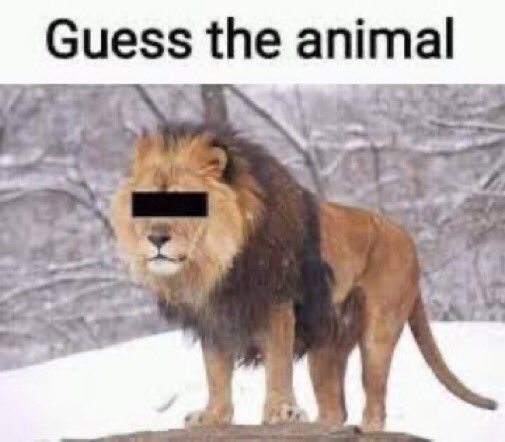 멍 (@tteobokkilezat) on Twitter photo 