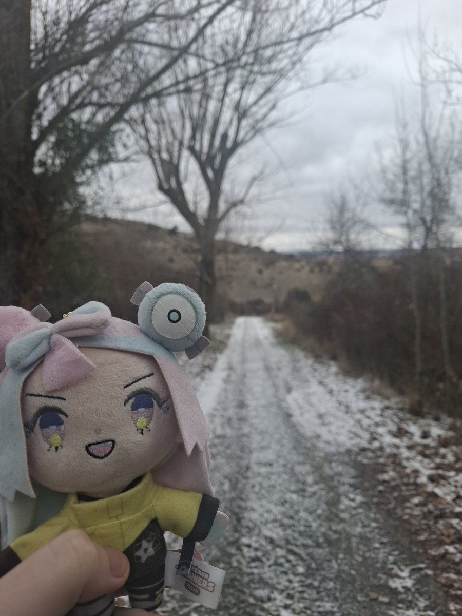 RotomShipping's tweet image. Omg,, it snew,, ❄️💛