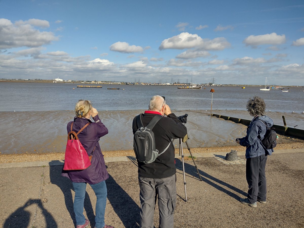 Final call for a guided walk 📢🦆🦢🥾
A few spaces left on the last of our 12 Walks of Christmas 
Gravesend Promenade, accessible walk on flat surfaces with plenty of seating
Tuesday 6 Jan 11.30am
Booking here eventbrite.com/e/197557622968…
#birdwise #Gravesend #birdwatching #birds