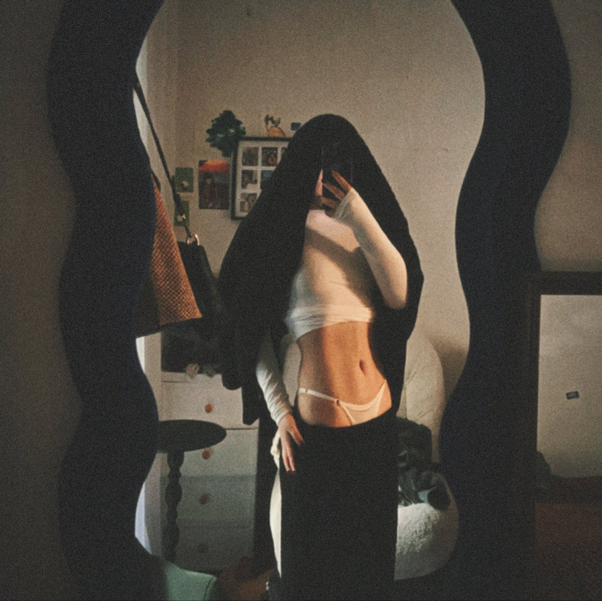 Camellia(山茶） tweet media