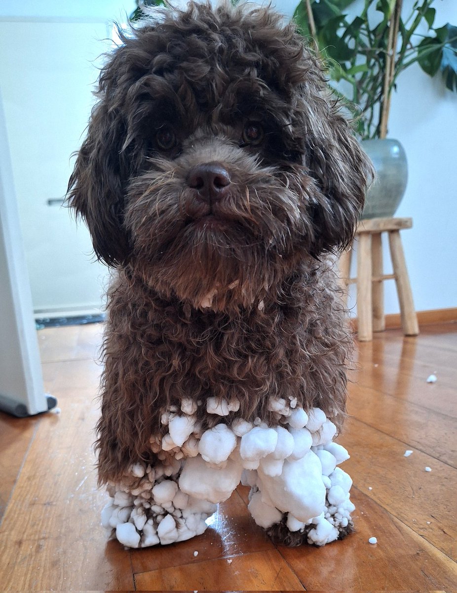 Dieneke 🏃‍♀️🚴‍♀️🏋️‍♀️ tweet media