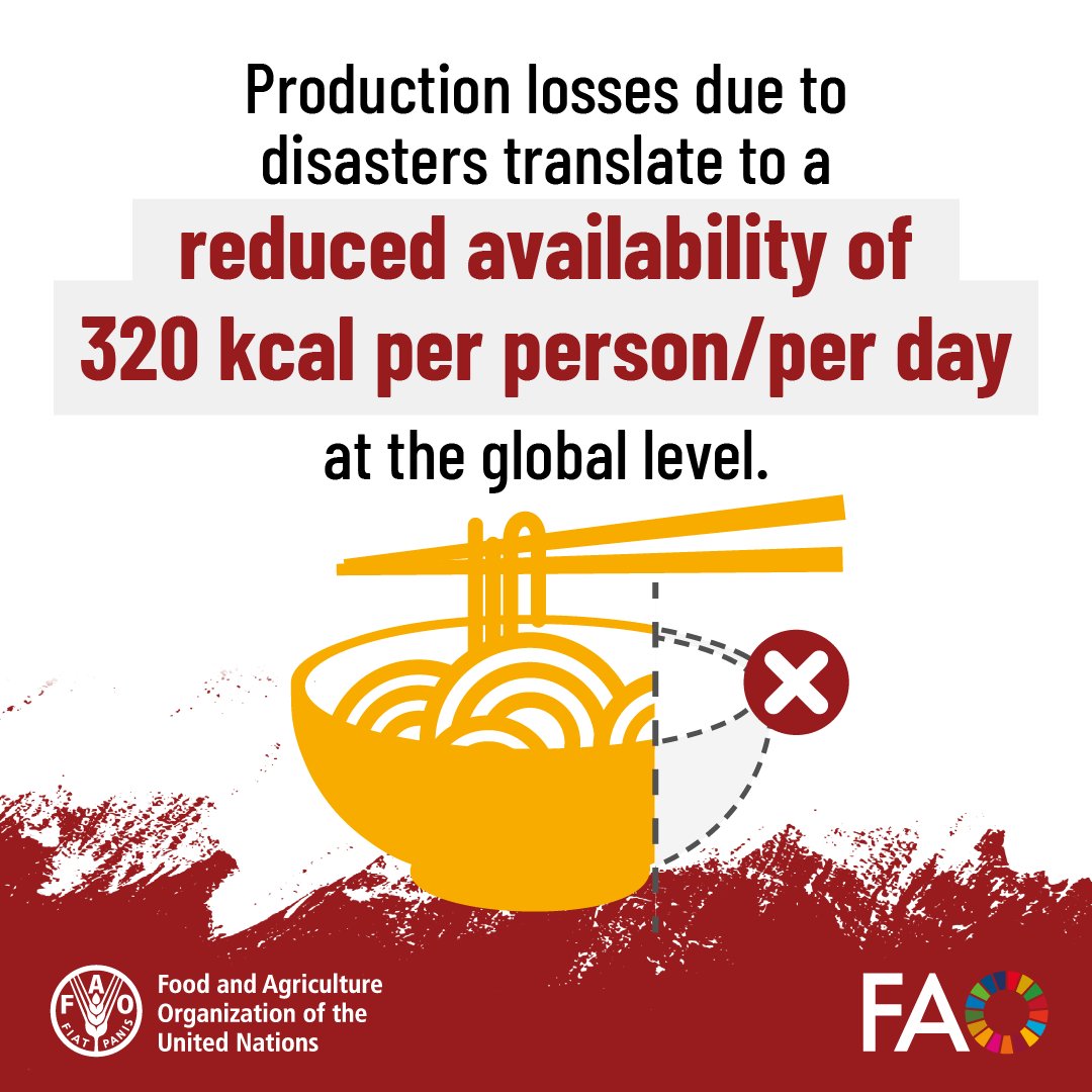 FAOstatistics's tweet image. #DYK disasters translate into significant caloric &amp;amp; micronutrient losses, especially for vulnerable populations?

Learn this and much more in The Impact of Disasters on Agriculture &amp;amp; Food Security 2025

Download YOUR copy today👇
📕doi.org/10.4060/cd7185…