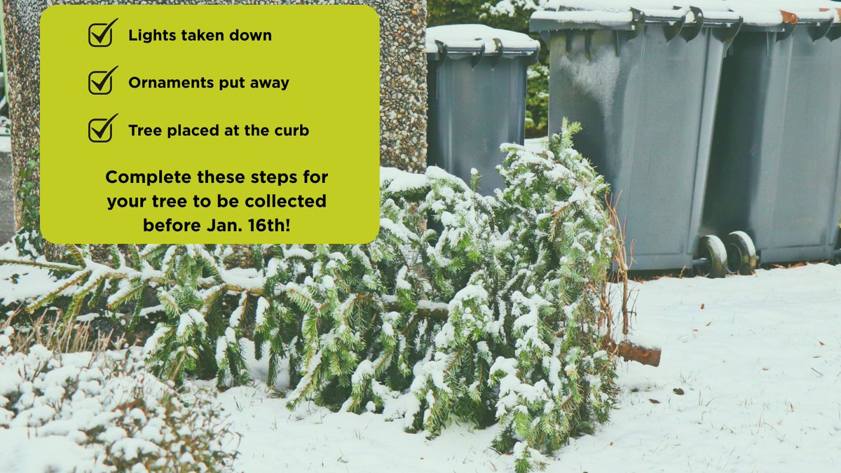 🌲♻️ Say goodbye to the holidays for now the sustainable way! Real trees will be collected with yard waste through Friday, January 16th. Be sure to remove all ornaments and decorations before placing your tree at the curb.