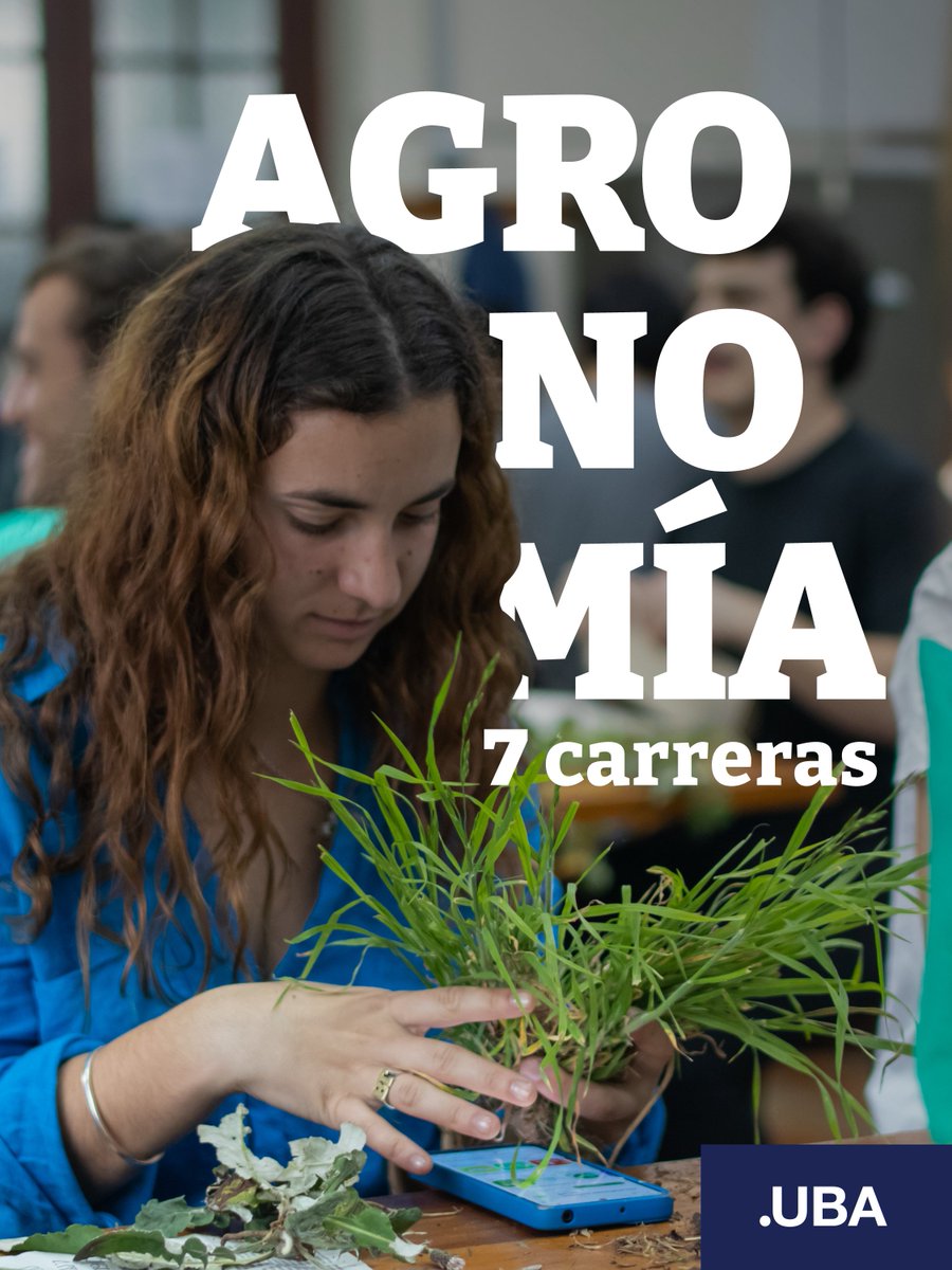 FACULTAD DE AGRONOMÍA 🌱

<a href="/AgronomiaUBA/">FAUBA</a>  cuenta con 7 carreras de grado que son: