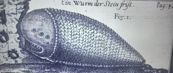 Bilinmeyen Gerçekler Kuşağı 2;

Süleyman'ın Mabedi ve Shamir(Aslında taş kesen bir Lazer silahı)

Milattan evvel belki bin belki binlerce yıl kadar önce, çöllerin tozlu rüzgârlarının ilahi fermanlar taşıdığı, dağların tanrıların sırlarını sakladığı insanlığın tanrılara kurbanlar