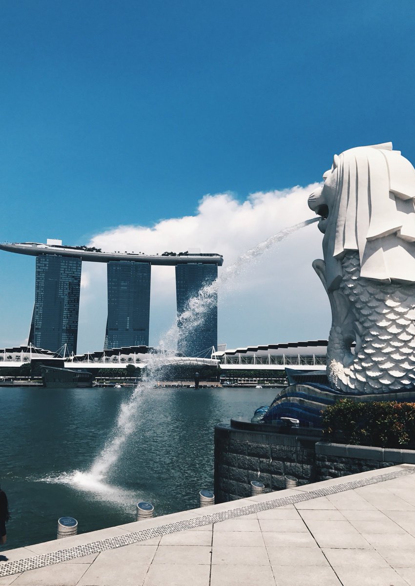 ImperatorIV's tweet image. 今日買った新しい本が面白すぎて、気がついたら3時間も読み続けていた 🧞‍♀️