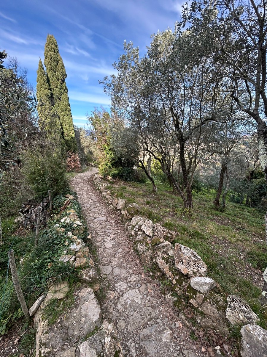 stonewallsforlife tweet media