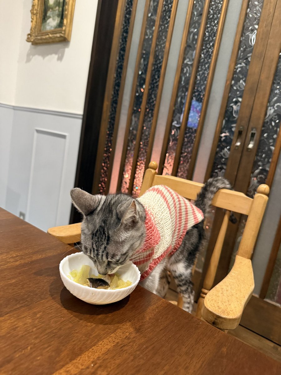 柚子 (@n71_yuzu) / Posts / X