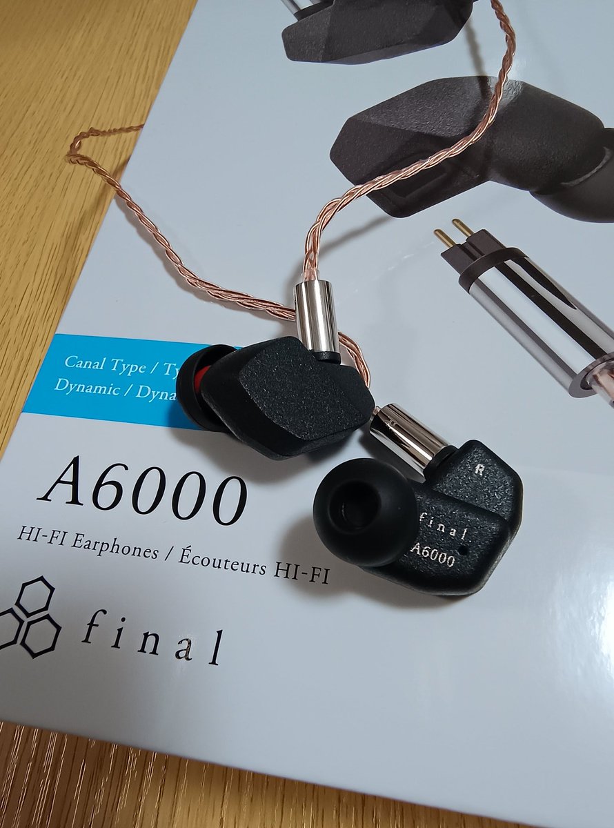 4年ぶりくらいの新イヤホン✨️ final A6000 お店でも試聴はしてたけど