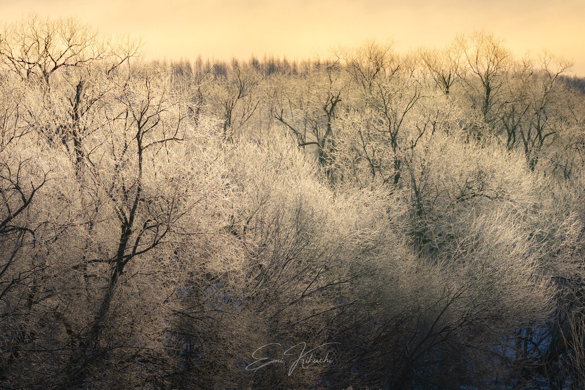 𝐇𝐈𝐃𝐄 𝕏(𝕄𝔸𝕄𝕆) @ポトレ撮影垢 (@HIDE_RNJ) / Posts / X