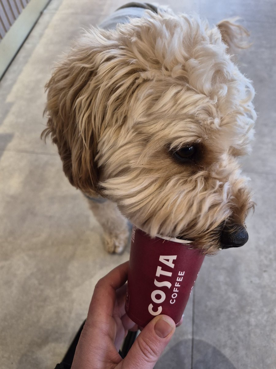 Michelle Cotter tweet media