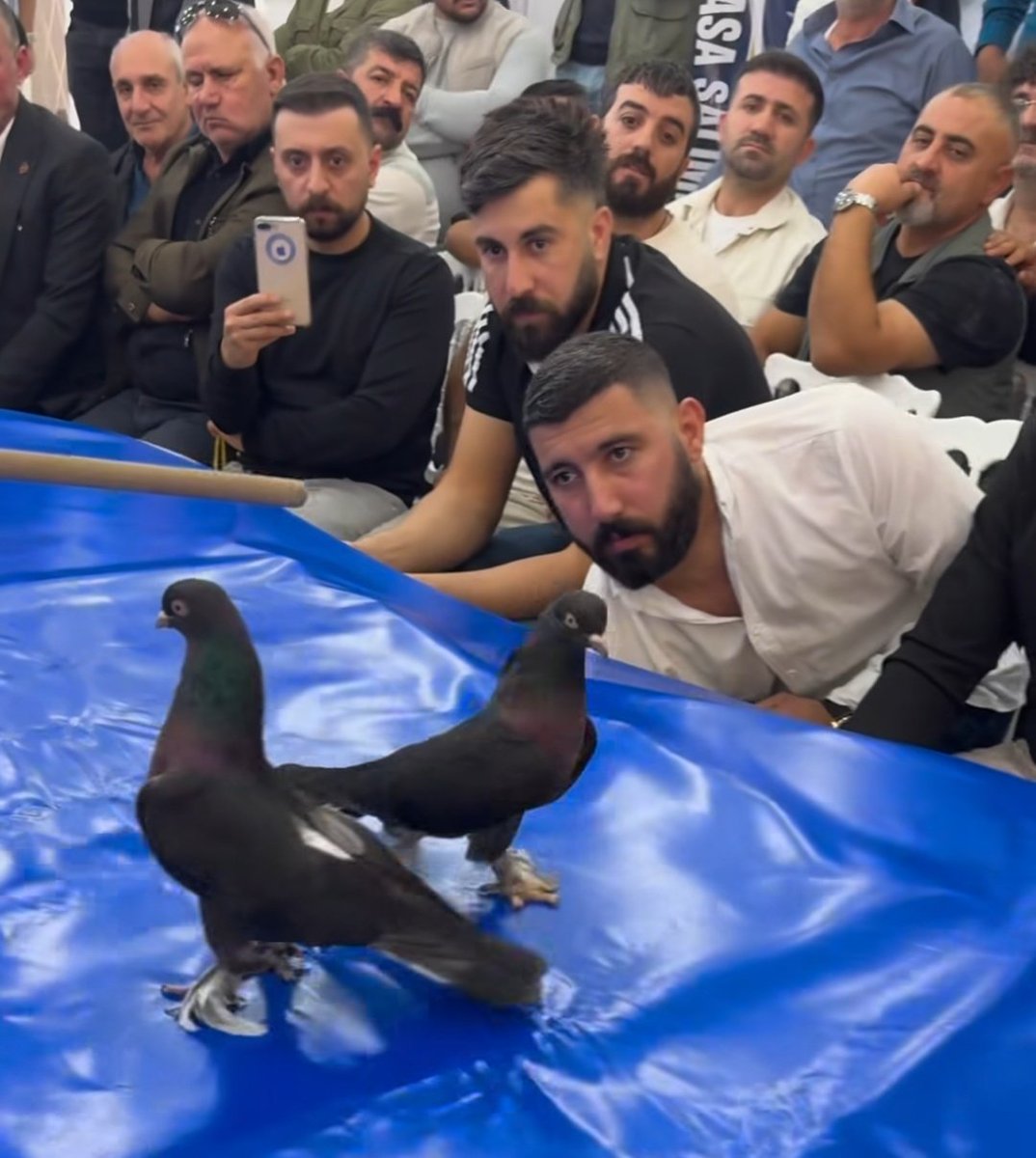 KING JERRY THE TERRIBLE tweet media