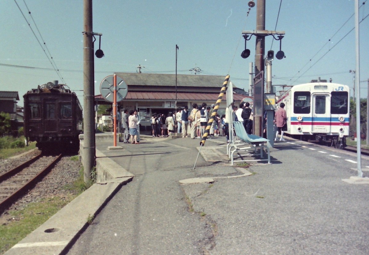 きんちゃん Re_SHA09469.jpg