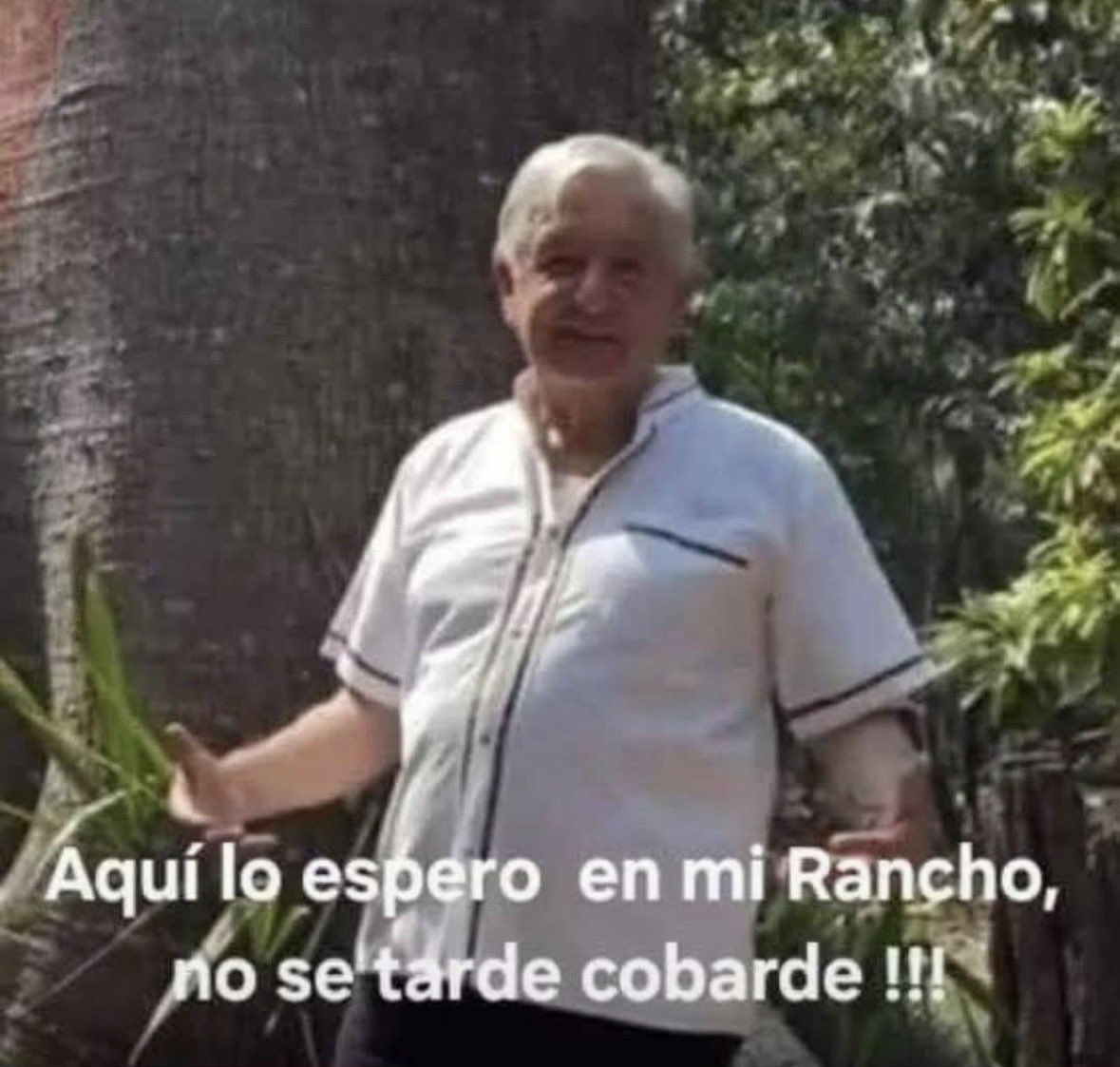 Arthur_Y01's tweet photo. @lopezobrador_ Te hablan Presidente @realDonaldTrump https://t.co/XlfTE1kFXk