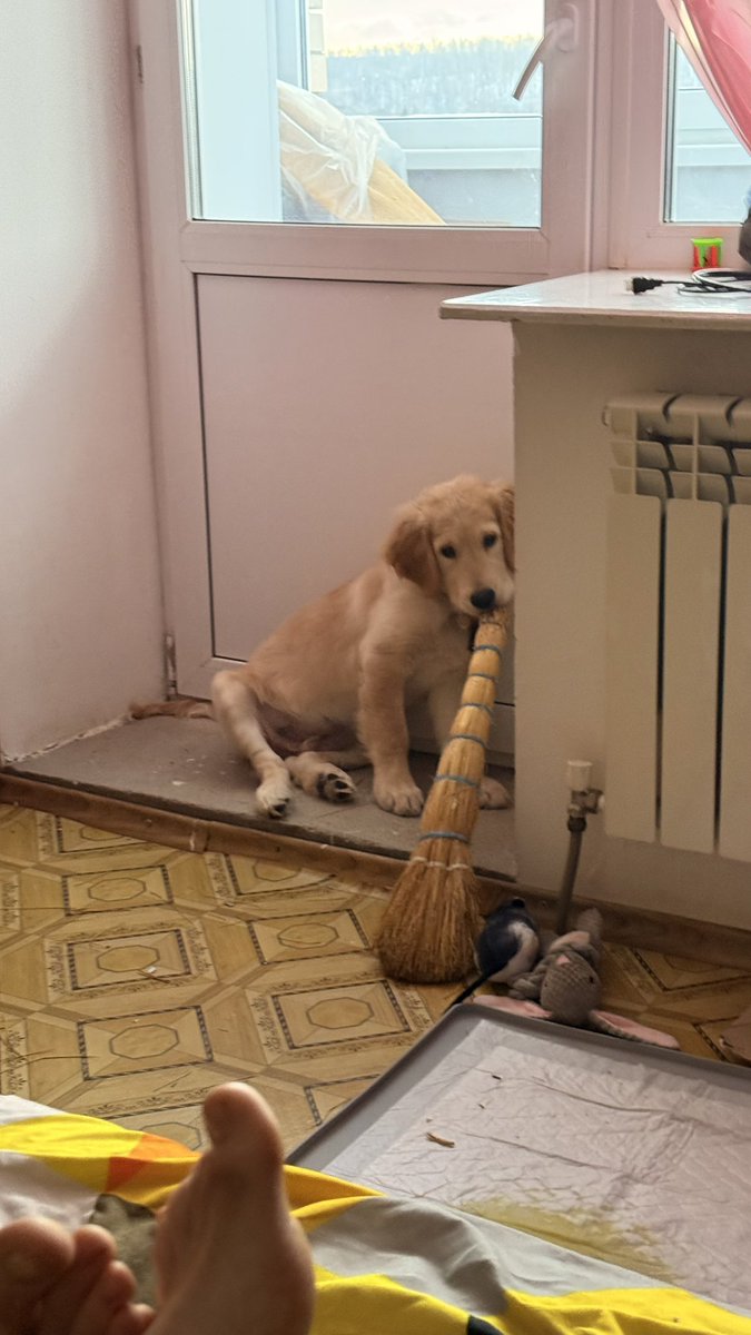 Какой хороший мальчик пришел убрать за собой