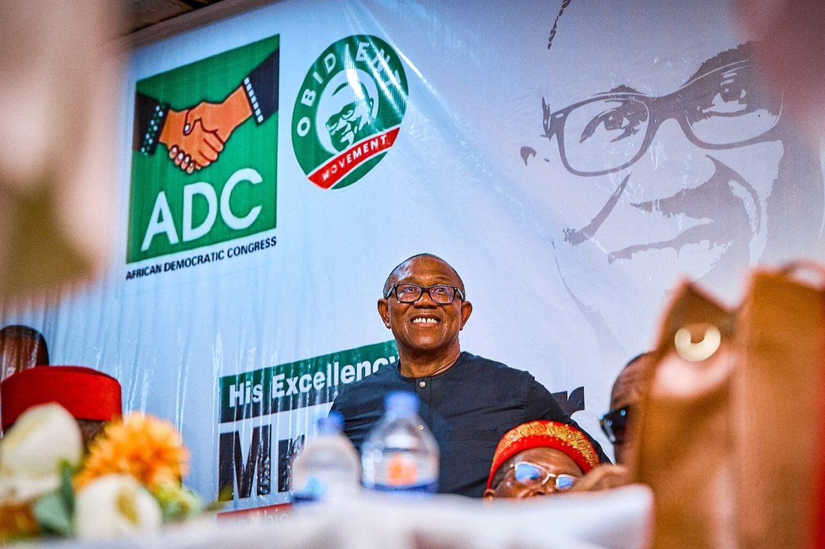 "Even on its own terms, the coalition offers no pathway to Obi’s presidency. If <a href="/PeterObi/">Peter Obi</a> runs as vice-president, history shows he would wield little or no power in a political system where the presidency holds enormous power. Previous vice presidents were sidelined with little