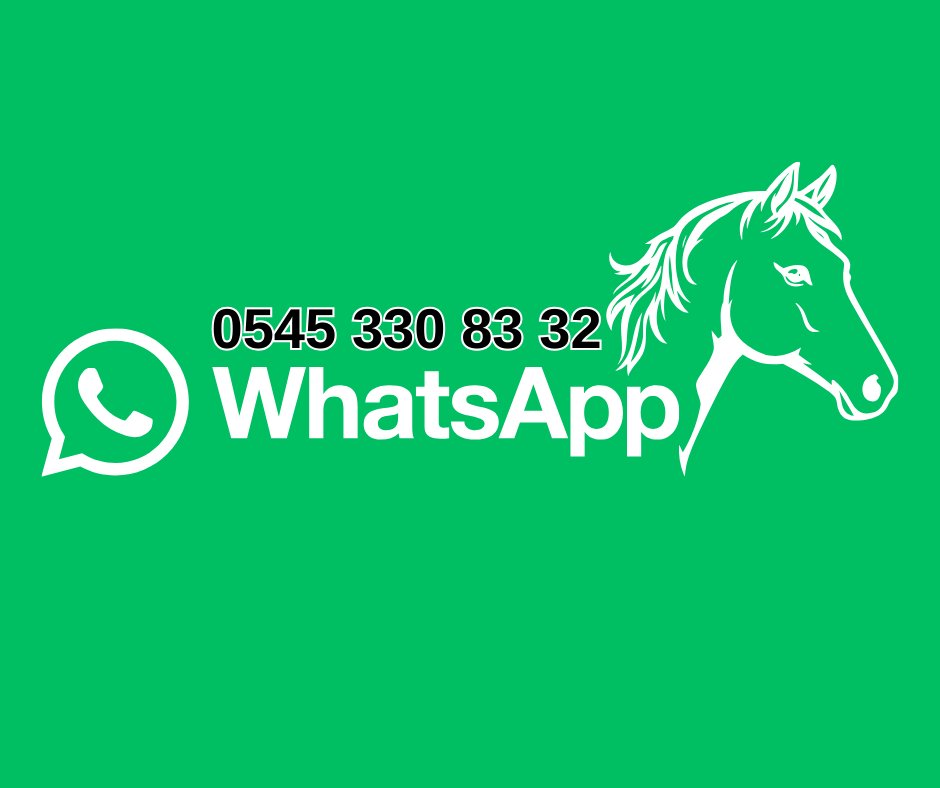 Bursa altılı şablonumuza aşağıdaki linki tıklayarak Whatsapp topluluğumuzdan ÜCRETSİZ ulaşabilirsiniz.
Şablonumuz saat 13.15'te yayında olacaktır. Bol şans!
📝chat.whatsapp.com/J773IAuS9QJJL5…