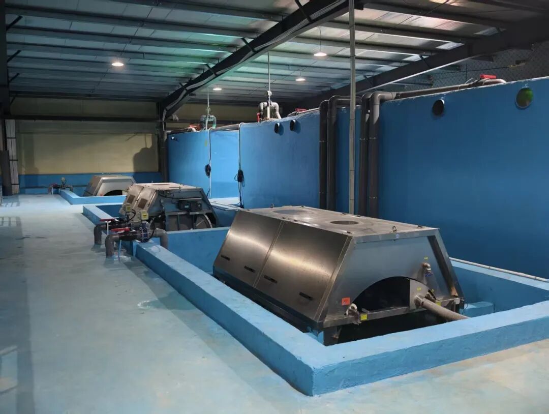 hangzhoufeel's tweet image. 🐟🏠 Fish living in "smart apartments"? Yes, it's happening in #Tonglu!

In this digital fish farm, 200,000 fish are raised in AI-controlled tanks, saving up to 90% of water while boosting yields — all monitored by phone, with no muddy ponds required. From rural youth startups to