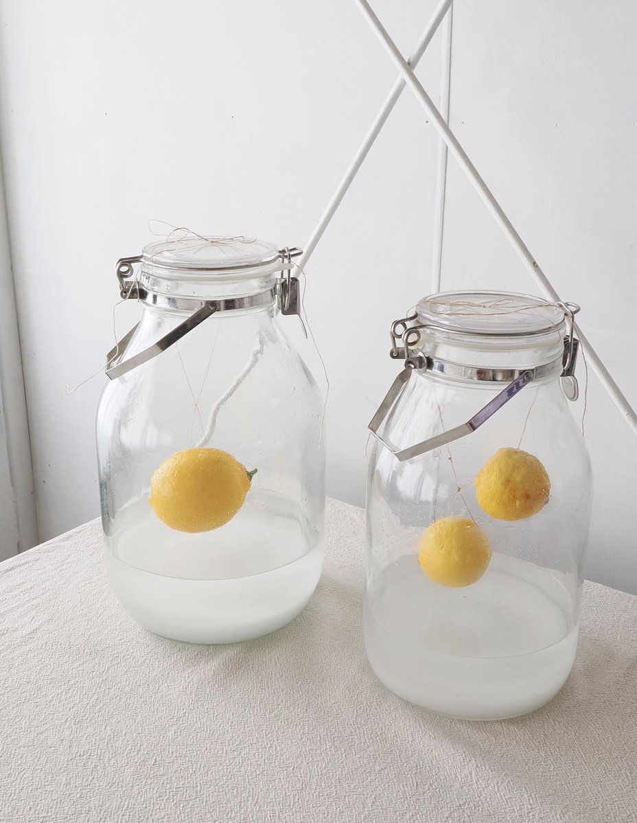 nano_723's tweet image. 無農薬のレモンが手に入ったら作りたくなる、漬けないお酒、ぶらさがりレモン酒。今年は柚子でも作ってみた！
この宙に浮いたビジュアルがとにかくかわいくて好き🍋