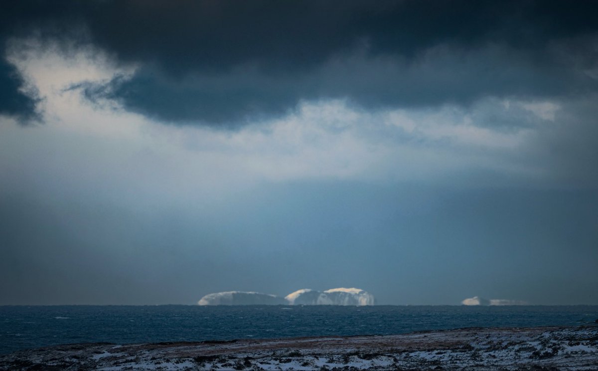 Alison Dunlop tweet media