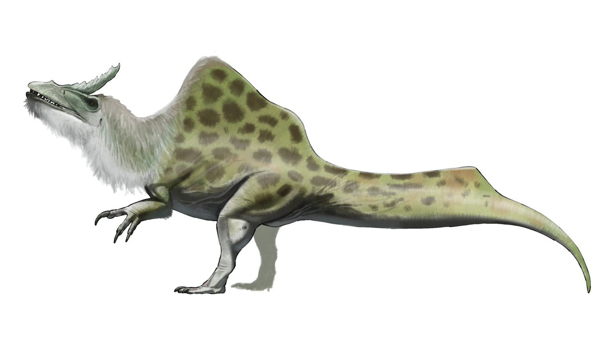 salmonartist1's tweet image. @TalesofKaimere