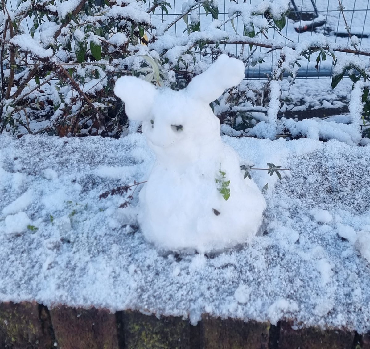 EcoRecord tweet media