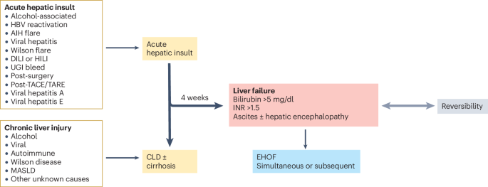 Nature Reviews Gastroenterology & Hepatology tweet media