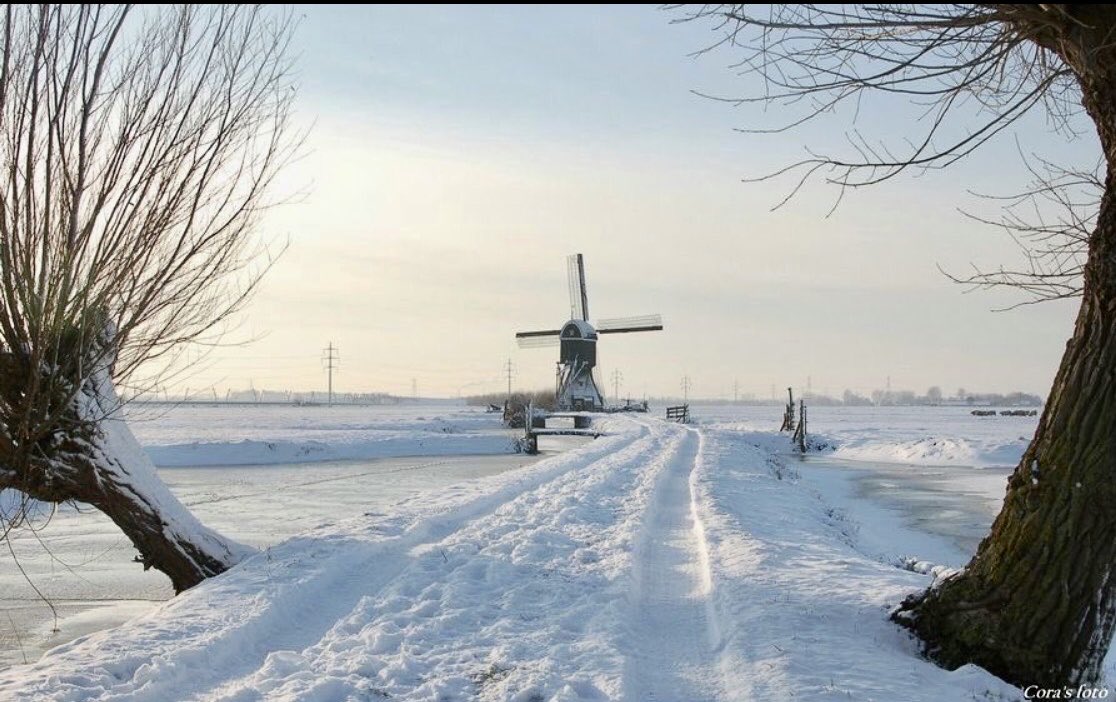 Saartje 🇳🇱 tweet media