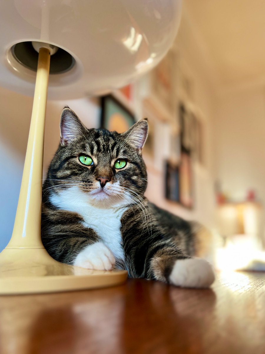 Gail Myerscough tweet media