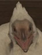 <a href="/MemeodoDragon/">Azure Rathalos</a>