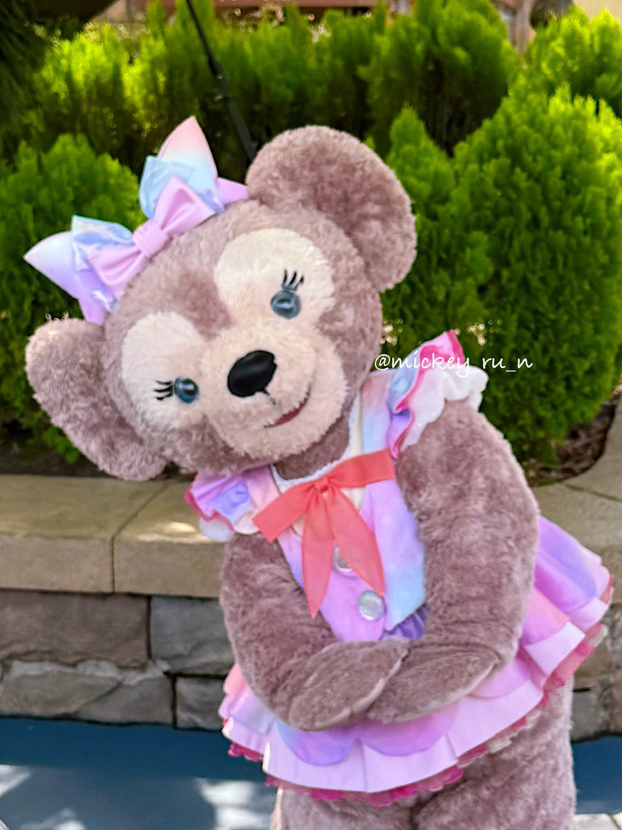 シェリーメイ ダッフィー シェリーメイ 着ぐるみセット シェリーメイ 着ぐるみ