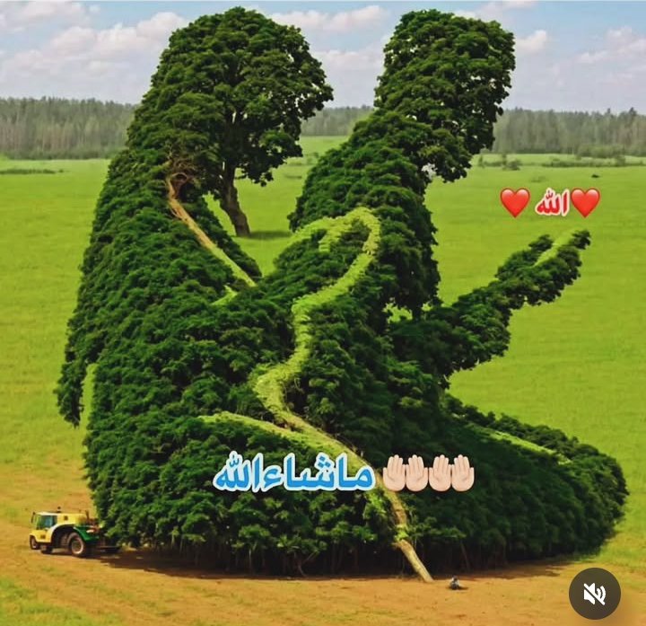 سُبْحَانَ اللَّهِ وَالْحَمْدُ لِلَّهِ وَلاَ إِلَهَ إِلاَّ اللَّهُ وَاللَّهُ 
  أَكْبَرُ