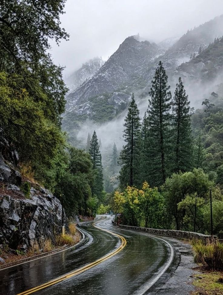 — after the rain 🌧️