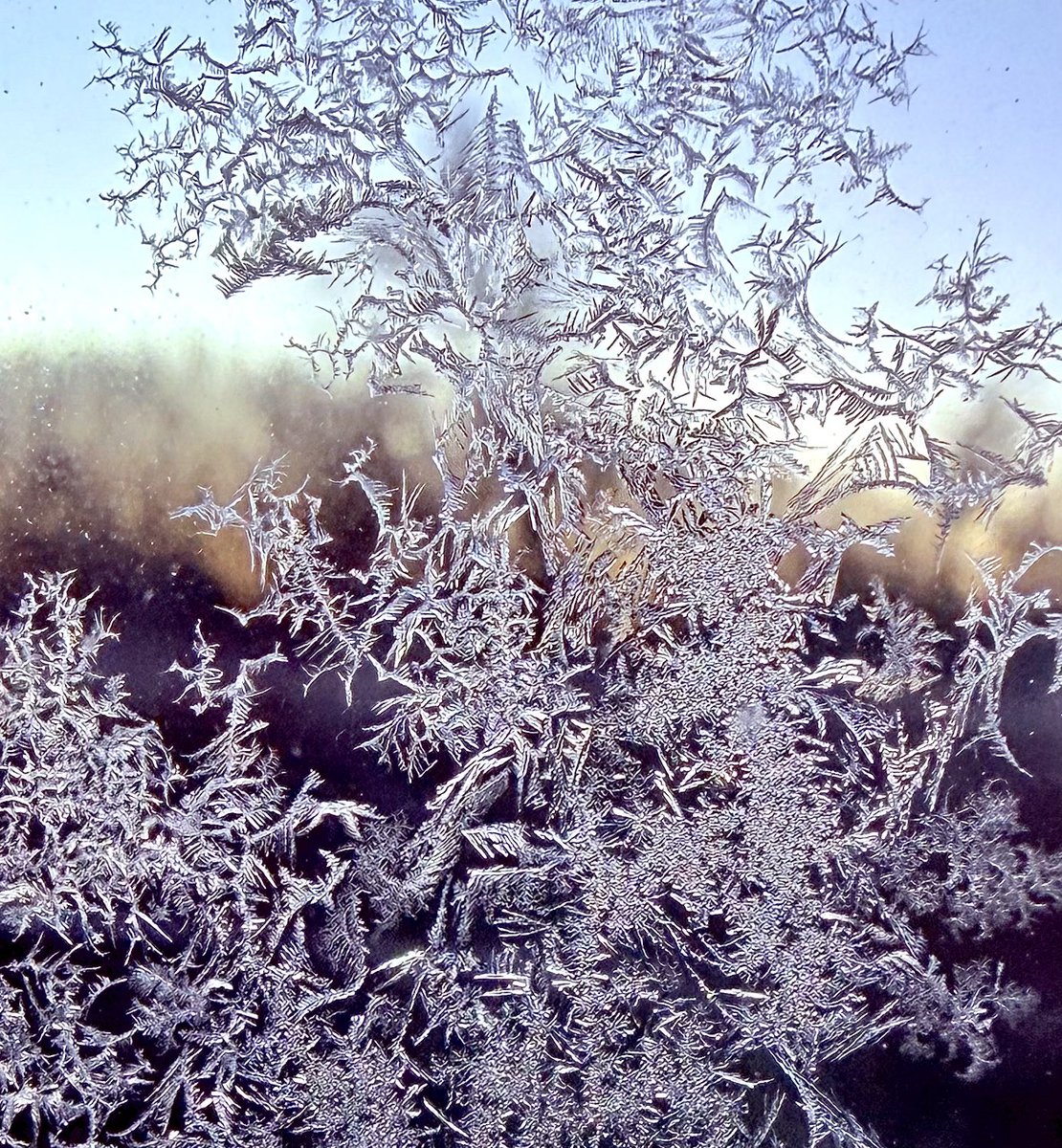 James8209100's tweet photo. Very Frosty in Carlisle after a low of -8.6°c. Slowly rising as the sun gains height, up to -6.7°c now 🥶🥶 #loveukweather #frost #cumbria #ukcold https://t.co/5HHpU8dYjy