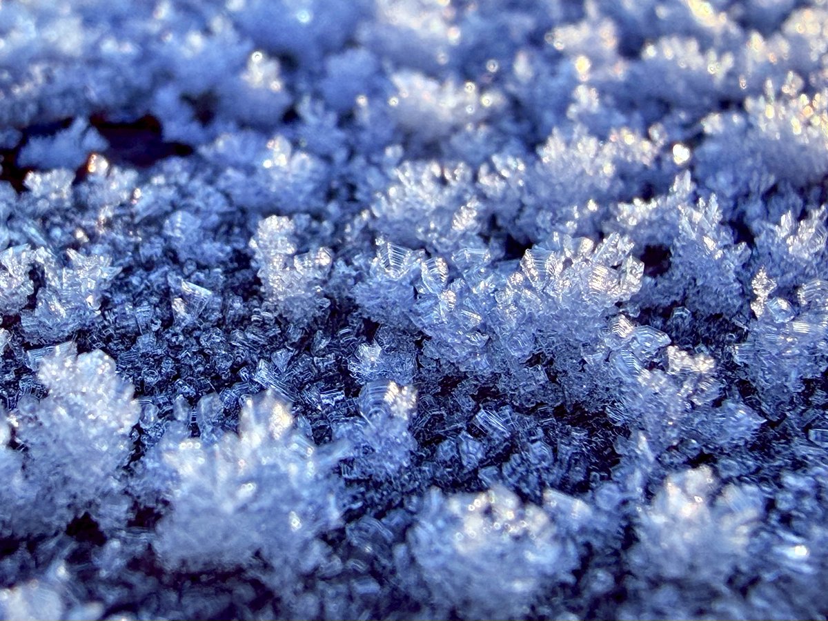 James8209100's tweet photo. Very Frosty in Carlisle after a low of -8.6°c. Slowly rising as the sun gains height, up to -6.7°c now 🥶🥶 #loveukweather #frost #cumbria #ukcold https://t.co/5HHpU8dYjy