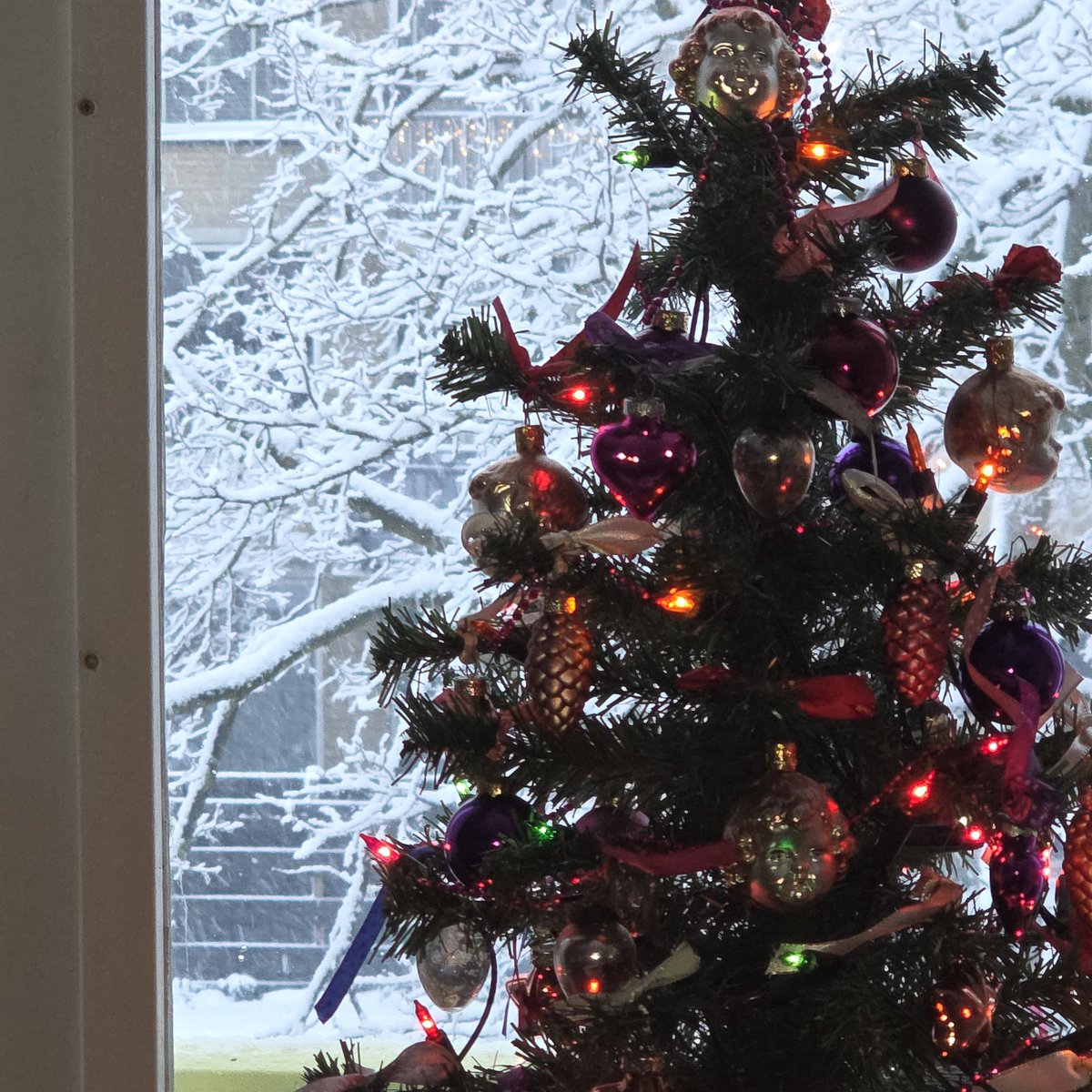 josephiensierag's tweet photo. #ElkeDagEenFoto2026 Dag 5
Geen witte kerst, toch een soort van witte kerst 😉🎄❄️✨️ Blij dat mijn kerstboom nog gezellig staat en die blijft voorlopig ook nog wel even.
#Winter #Sneeuw #WitteWereld #Winterwonderland https://t.co/OTbjGKjPOd