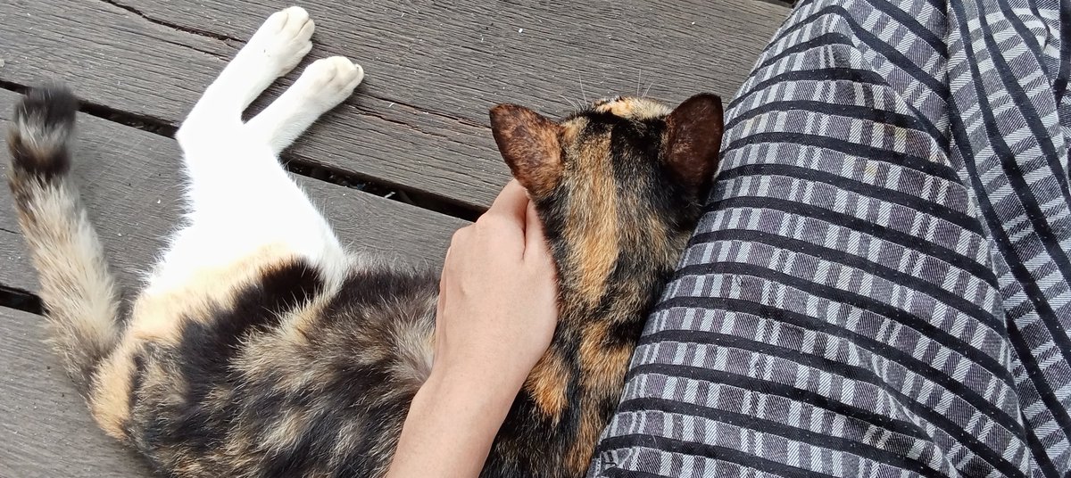 18llso's tweet image. quality time with meng.