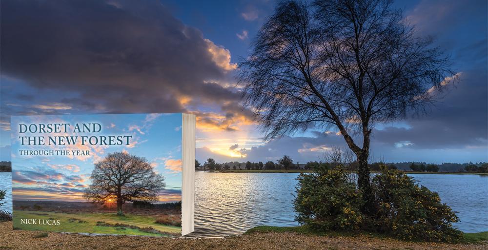 amberleybooks's tweet photo. An evocative photographic adventure with our breathtaking @amberleybooks Highlight:
Dorset and the New Forest Through the Year by Nick Lucas. Highlighting the beautiful landscapes and diverse colours of the seasons.
https://t.co/nGoNsbI96v
#Dorset #Hampshire #TheNewForest #Book https://t.co/2rek22hsDG