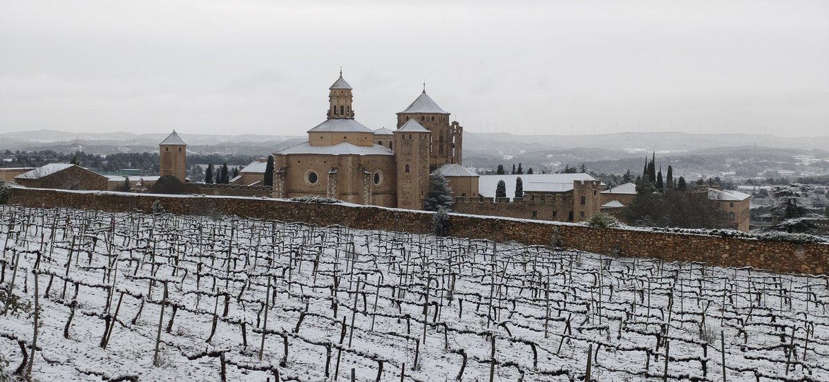 DronePolar's tweet photo. @mauri_francesc @3CatInfoelTemps @meteocat Poblet https://t.co/EjgGuL6XYq