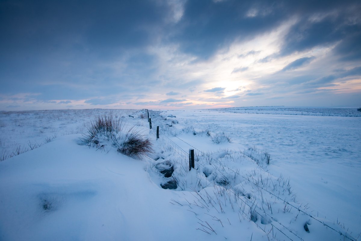 Foundation for Common Land tweet media