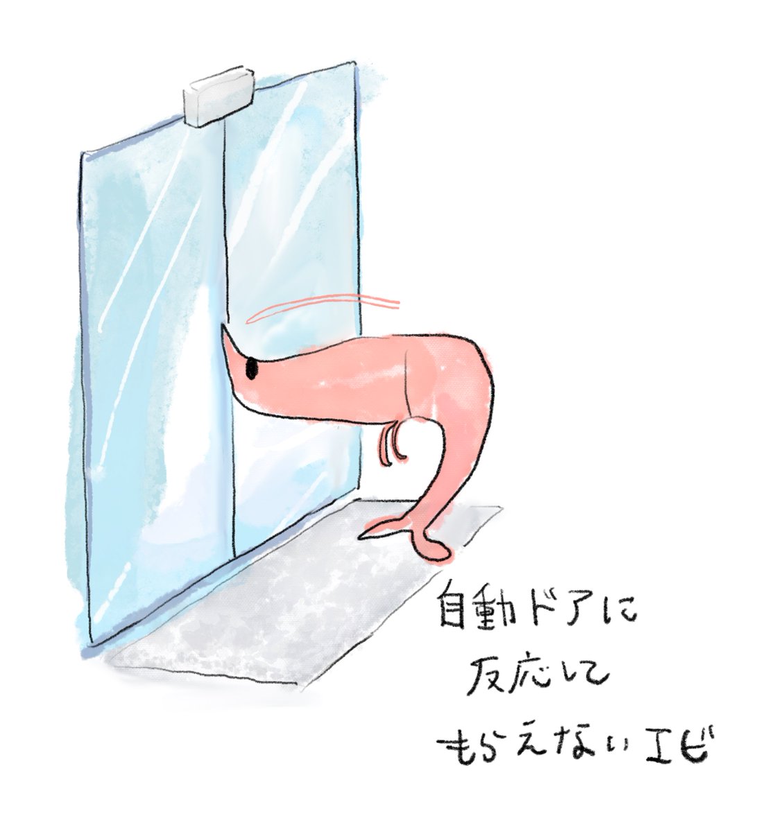 すしず🦐エビちゃん🍤 tweet media