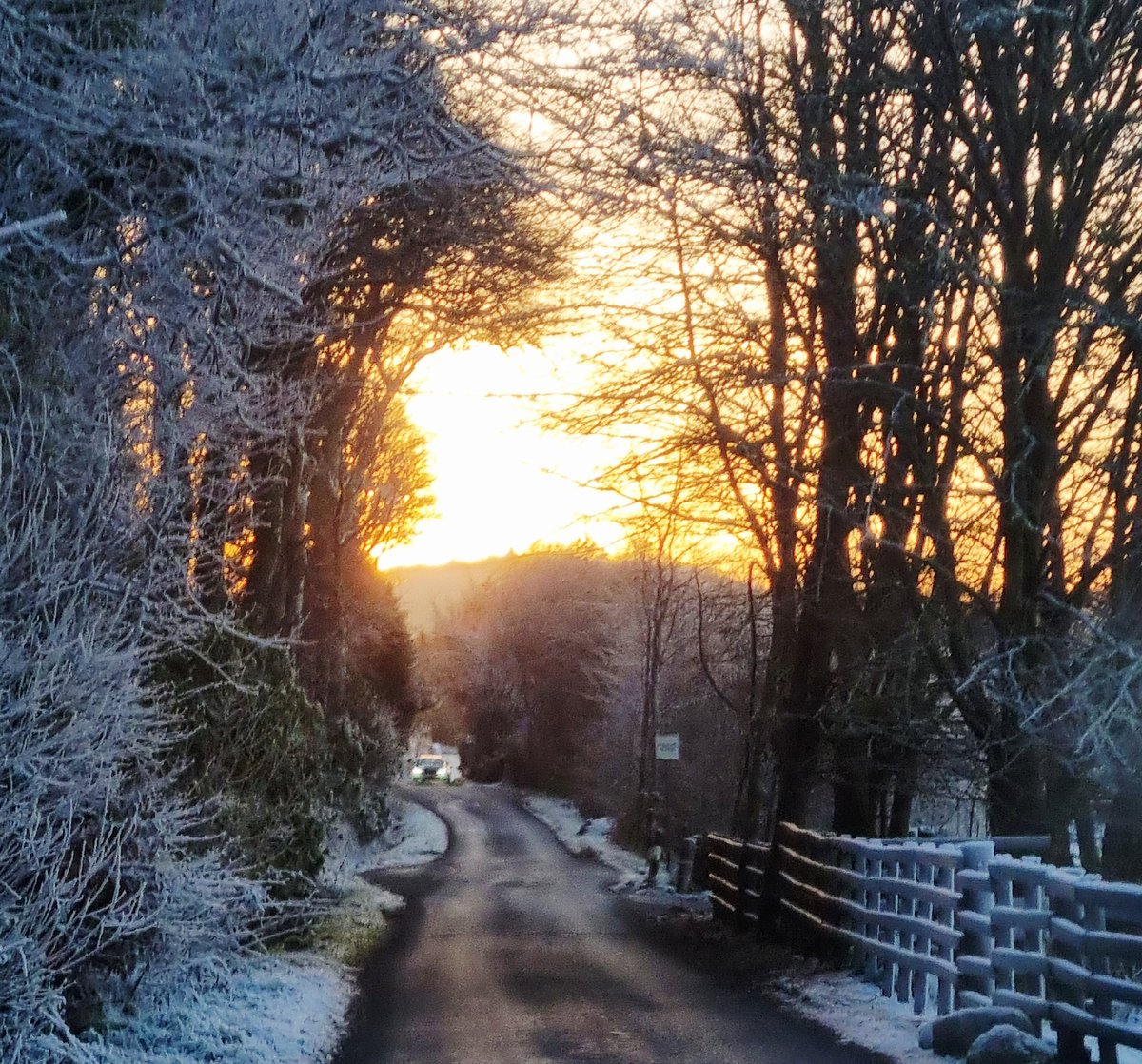 Self Catering Benderloch tweet media