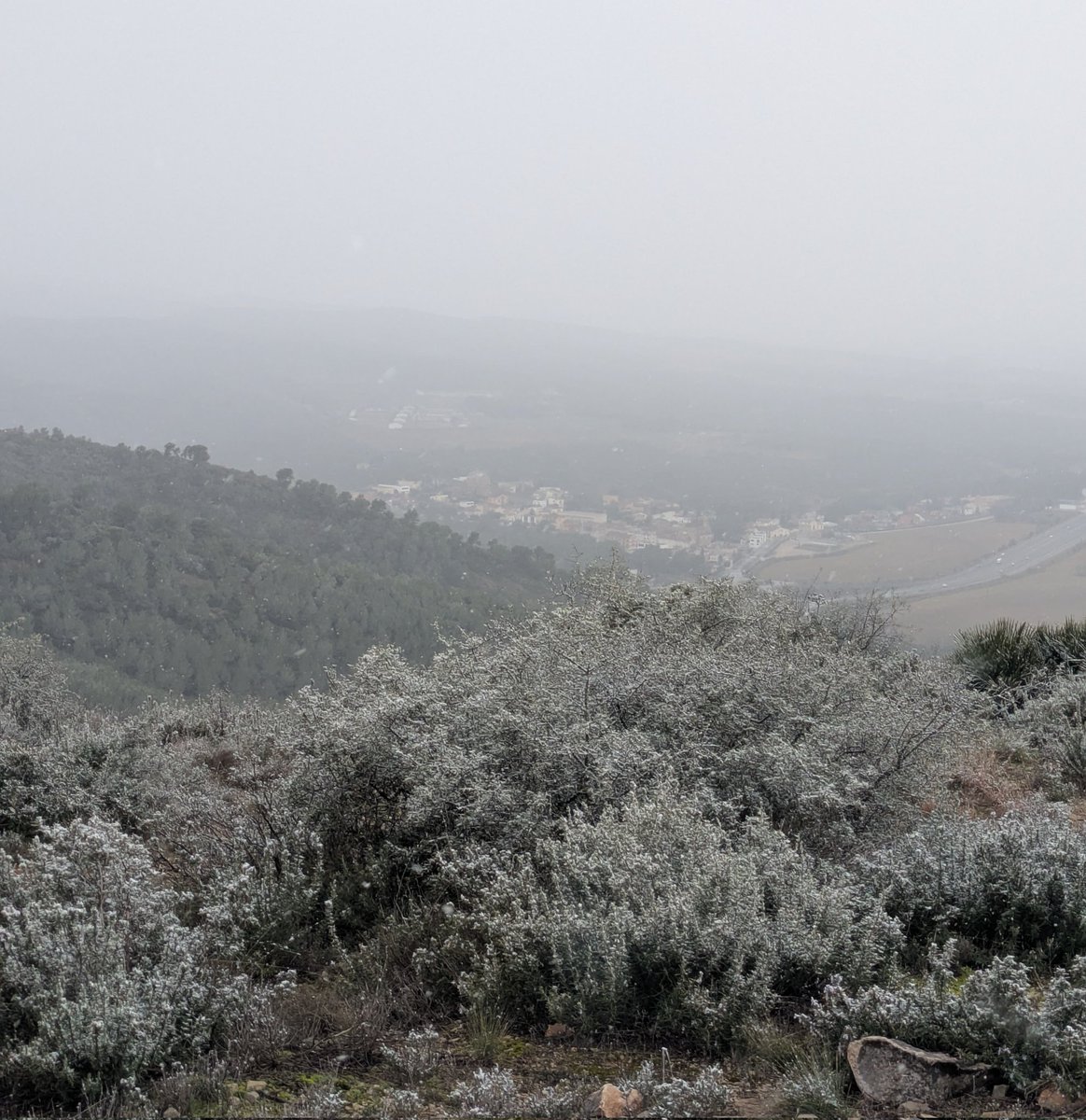 ADF Rossend Montané tweet media