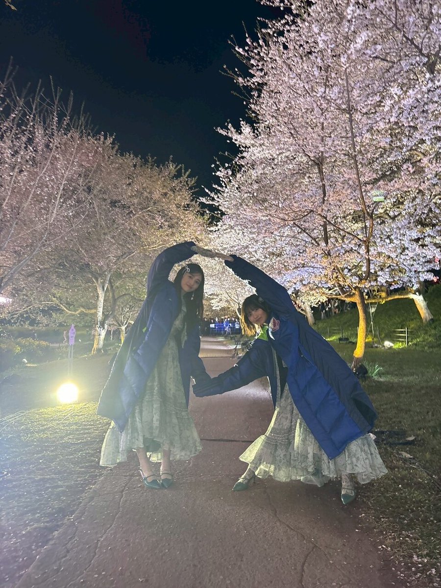 乃木坂46 tweet media