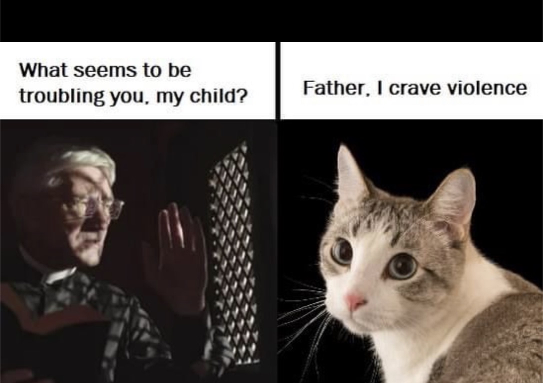 cats with powerful aura tweet media