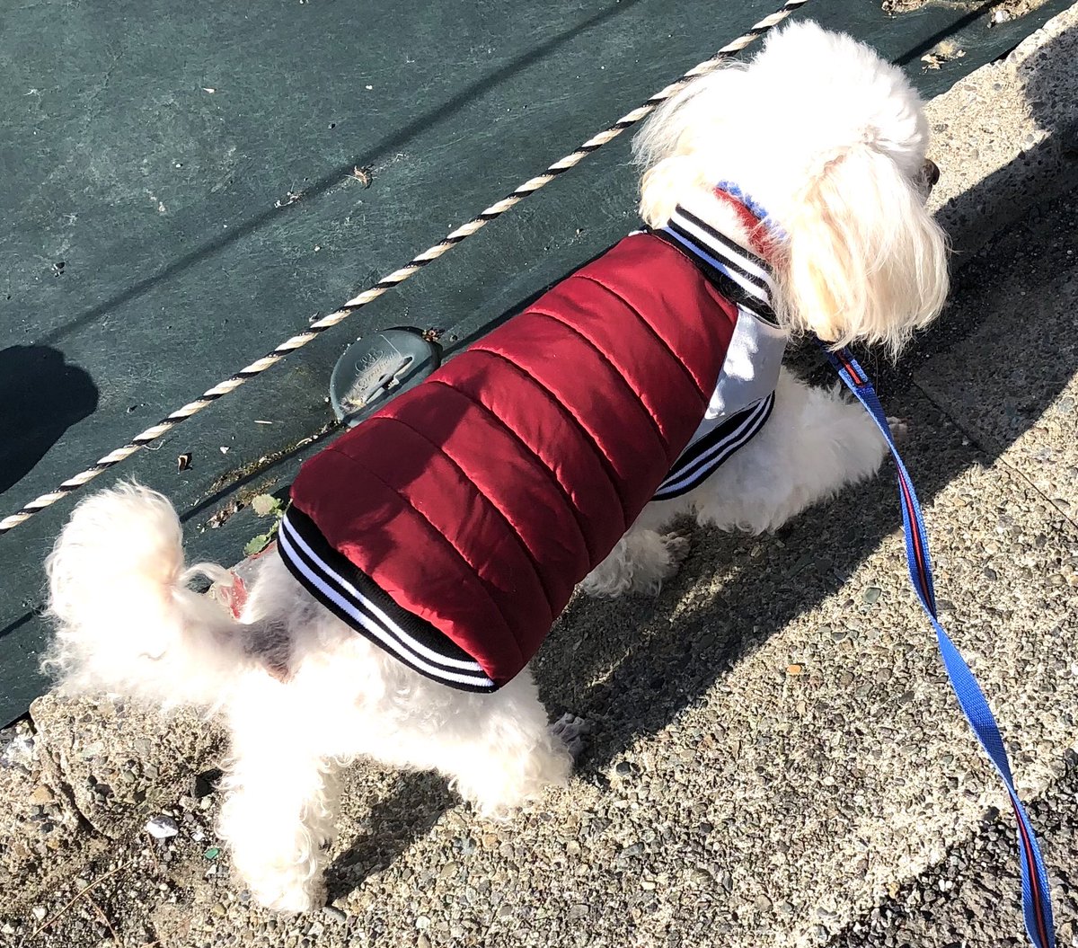 狙った訳じゃないけどリバーシブルになっていて、
こっちもなかなか良い。

裏のつもりで縫ったからステッチ幅がいい加減なのが残念だけど。