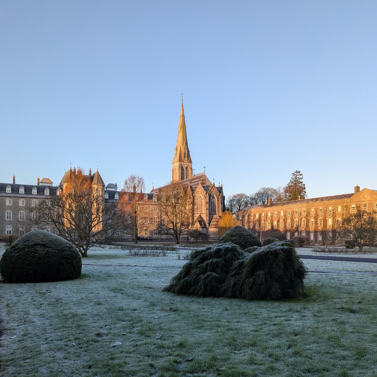 Maynooth University tweet media