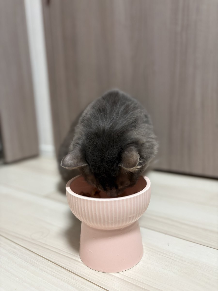 もこもこのひと tweet media